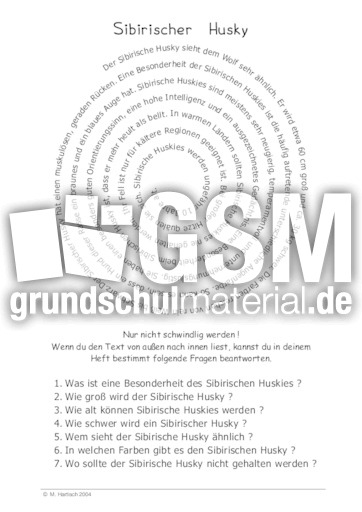 Sibirischer Husky.pdf